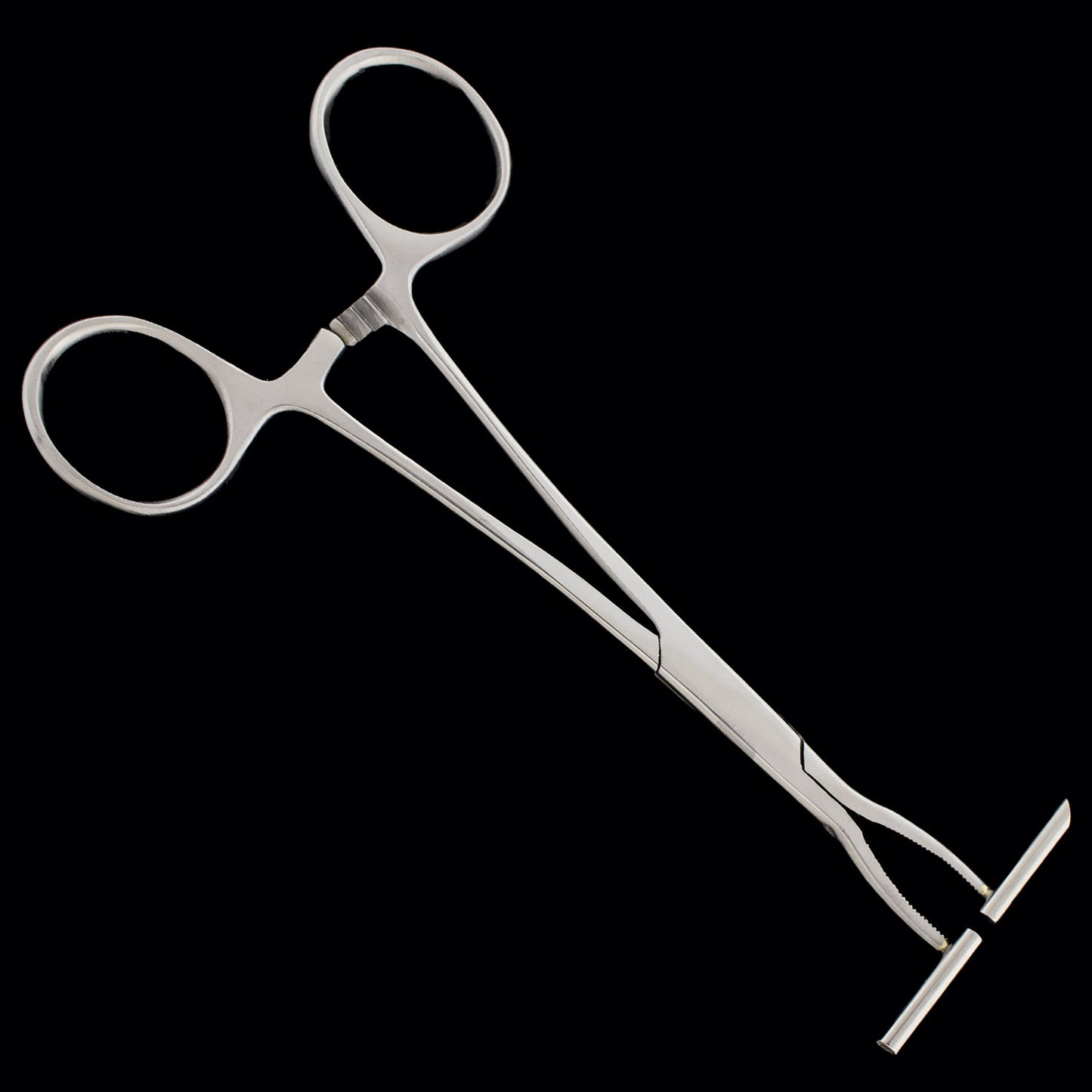 Straight Line Forceps for Septum - Obsidian Needles Obsidian Needles