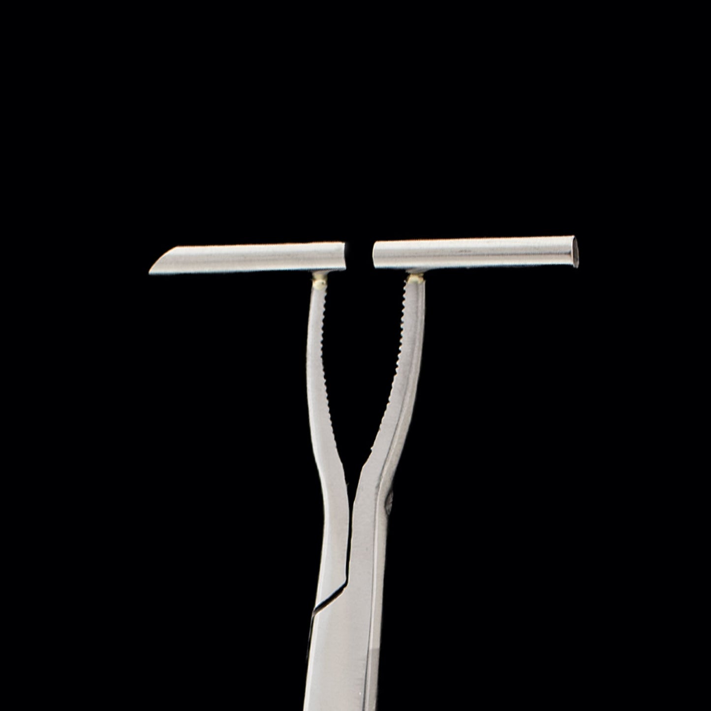 Straight Line Forceps for Septum - Obsidian Needles Obsidian Needles