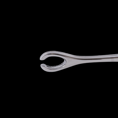 Slotted Sponge Forceps with Ratchet - Surgical Steel - Obsidian Needles