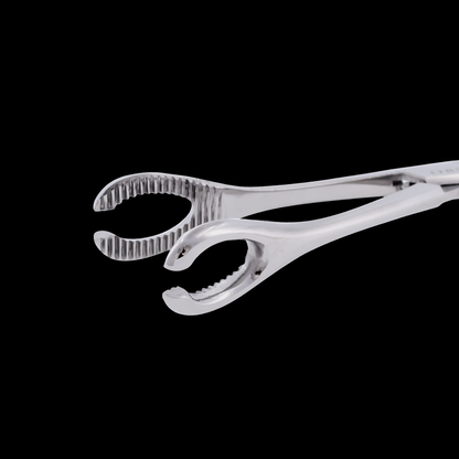 Slotted Sponge Forceps with Ratchet - Surgical Steel - Obsidian Needles
